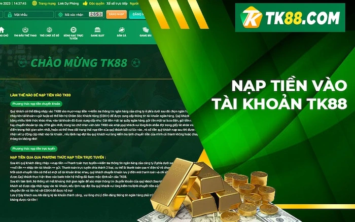 Hướng Dẫn Nạp Tiền TK88 Siêu Đơn Giản